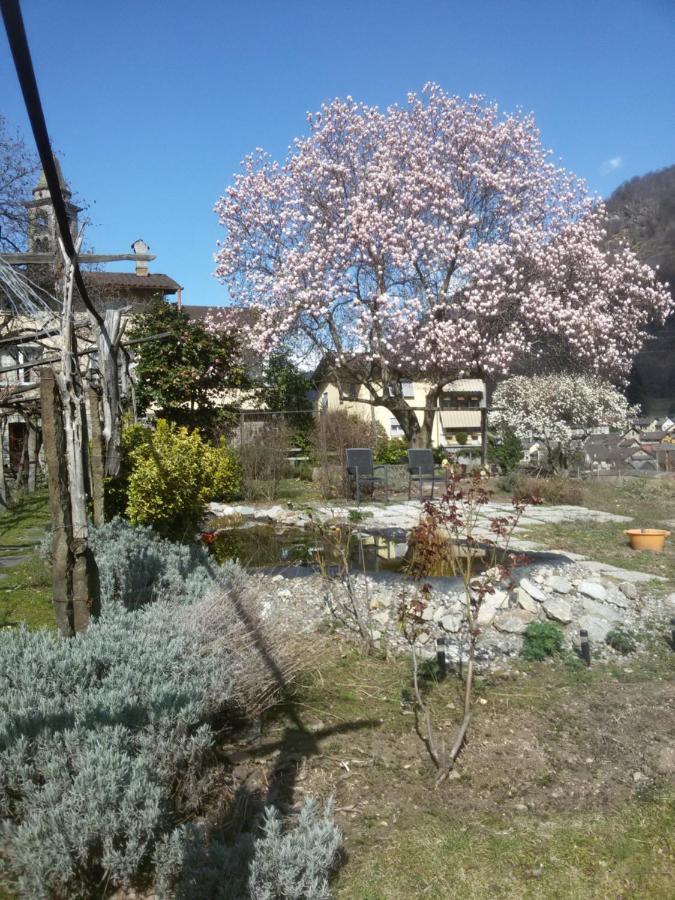 Bed and Breakfast Grotto Pergola Giornico Экстерьер фото